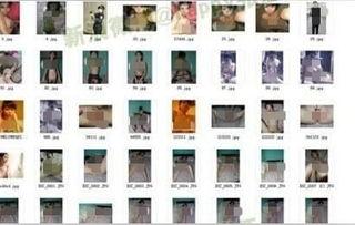 独家爆料淄博警花 独家爆料网免费入口,独家爆料网免费入口带你直击警界风采