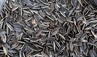 实时黑料曝光 热门大瓜子,实时黑料曝光背后的真相