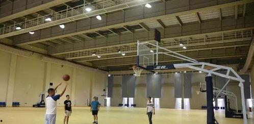 体育圈的天花板,巅峰时刻的辉煌与挑战