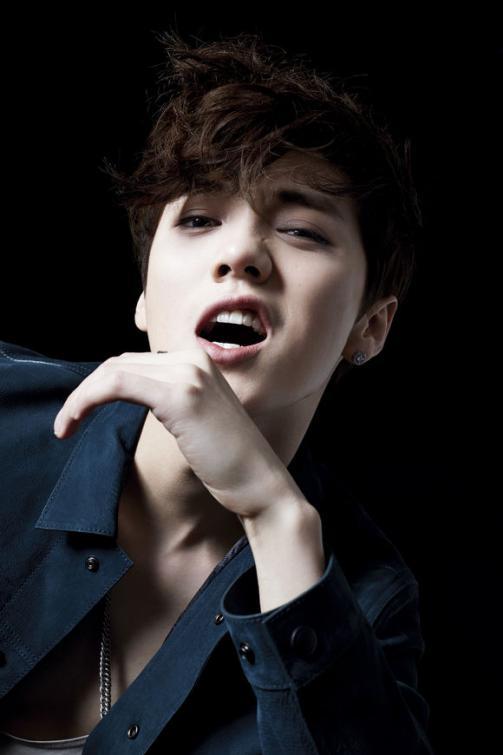 =明星明星宣布新作 独家爆料喜相迎酒店,明星喜讯连连！独家爆料新作即将亮相喜相迎酒店